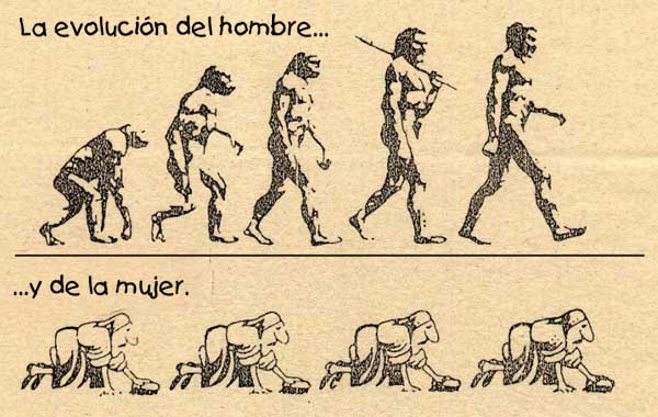 Evolucin